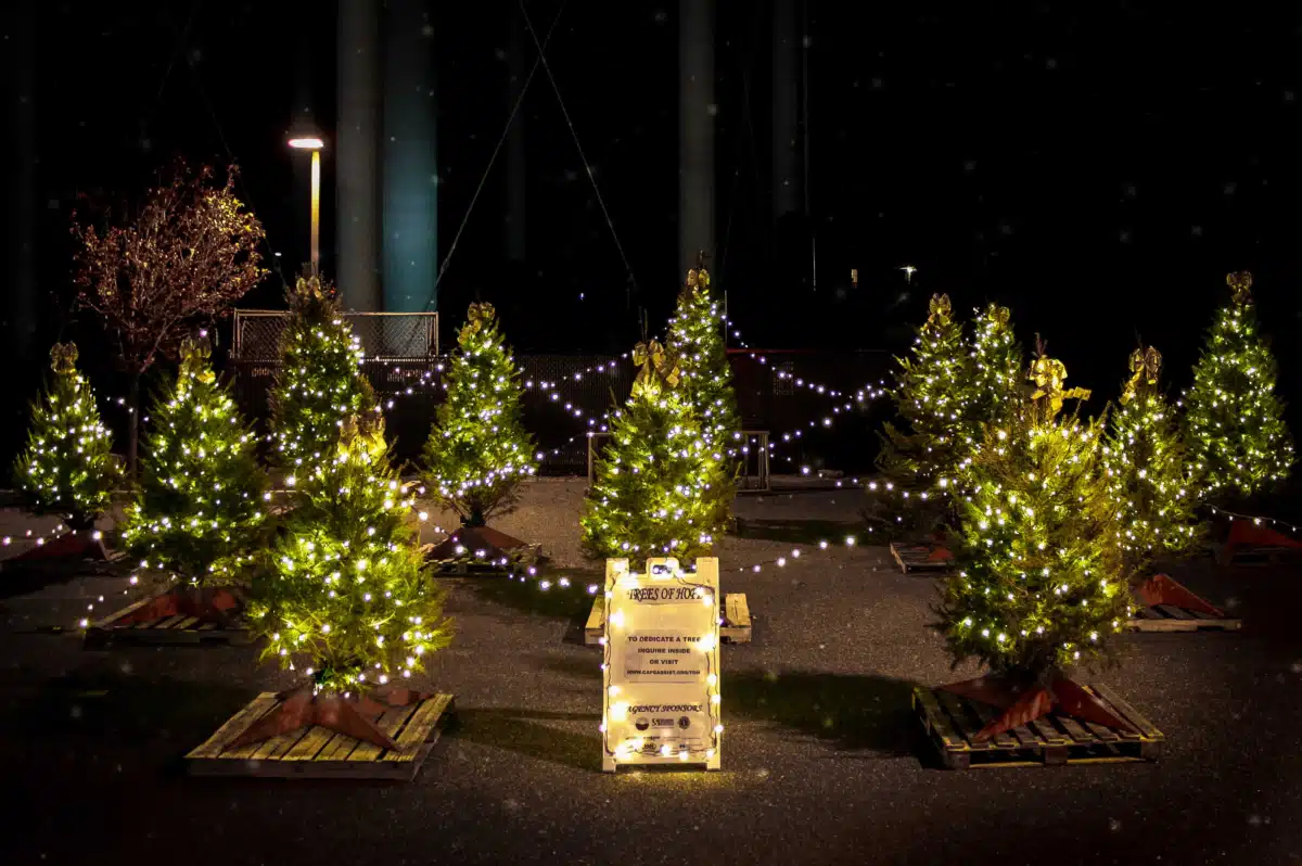 Cape Assist - Hero Image